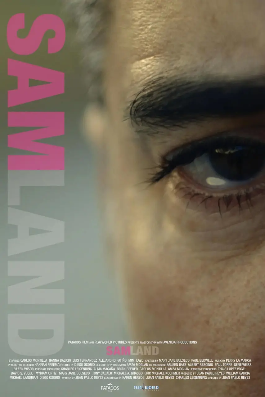 《萨姆兰》影评：被时间遗忘的角落，人性的挣扎与救赎 (2021)